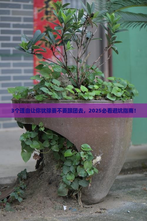 一月到西藏大型旅游团