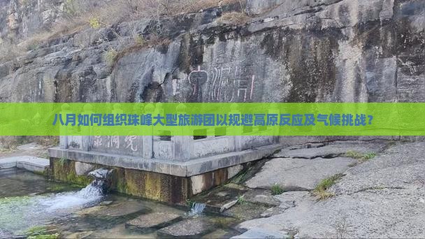 八月如何组织珠峰大型旅游团以规避高原反应及气候挑战？