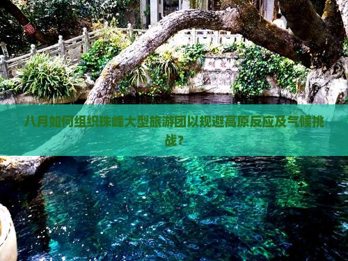 八月如何组织珠峰大型旅游团以规避高原反应及气候挑战？