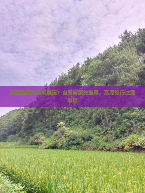 南阳到巴松措哪里玩？自驾游路线推荐，高原旅行注意事项