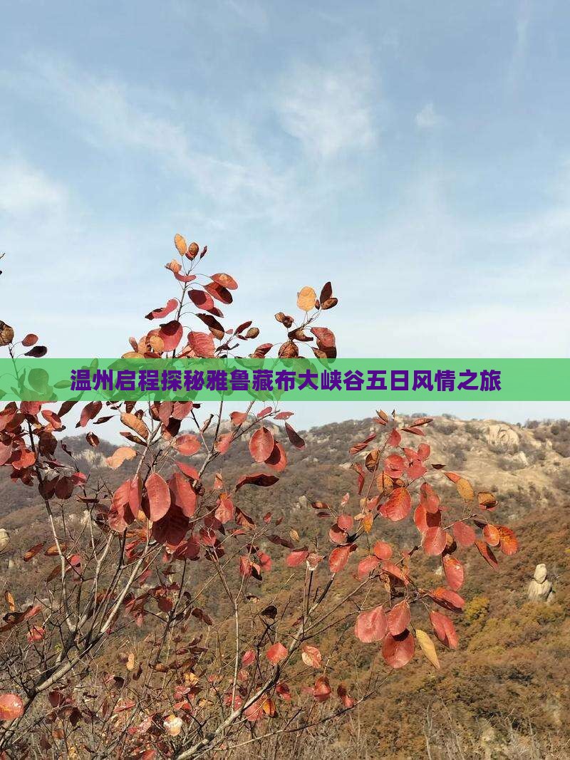 温州启程探秘雅鲁藏布大峡谷五日风情之旅