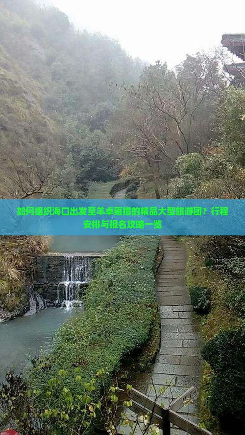 如何组织海口出发至羊卓雍措的精品大型旅游团？行程安排与报名攻略一览
