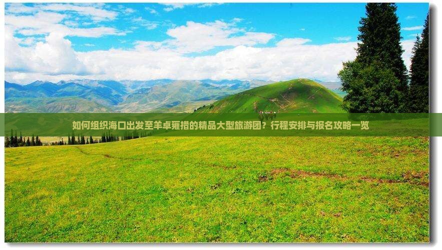 如何组织海口出发至羊卓雍措的精品大型旅游团？行程安排与报名攻略一览