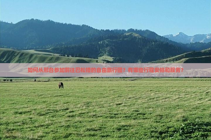 如何从邢台参加前往巴松措的自由旅行团？有哪些行程安排和服务？