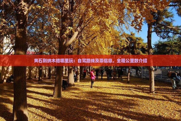 黄石到纳木措哪里玩：自驾路线及票信息，全程公里数介绍