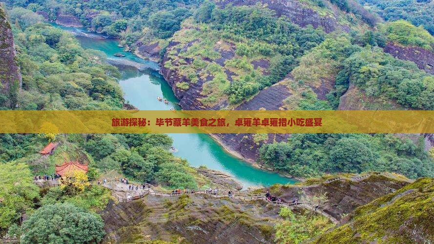 旅游探秘：毕节藏羊美食之旅，卓雍羊卓雍措小吃盛宴