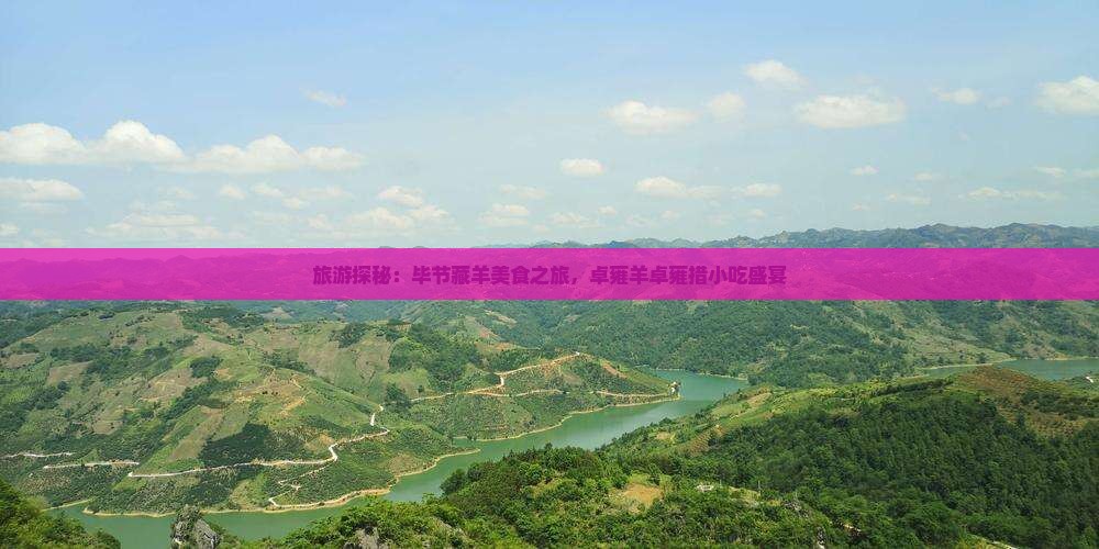 旅游探秘：毕节藏羊美食之旅，卓雍羊卓雍措小吃盛宴