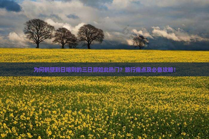 为何鹤壁到日喀则的三日游如此热门？旅行痛点及必备攻略！