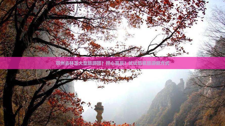 鄂州去林芝大型旅游团？担心高反？试试低氧旅游新方式