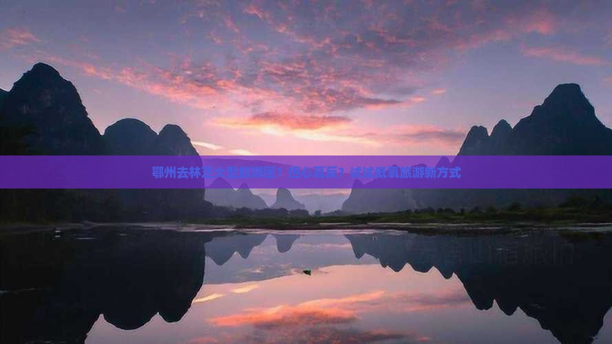 鄂州去林芝大型旅游团？担心高反？试试低氧旅游新方式
