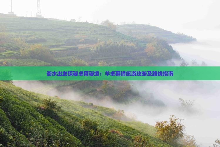 衡水出发探秘卓雍秘境：羊卓雍措旅游攻略及路线指南