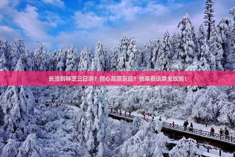 长治到林芝三日游？担心高原反应？快来看这条全攻略！