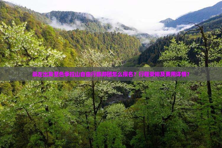 崇左出发至色季拉山自由行旅游团怎么报名？行程安排及费用详情？