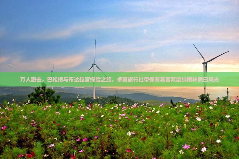 万人想去，巴松措与布达拉宫探险之旅，卓雍旅行社带你看看西双版纳雨林假日风光