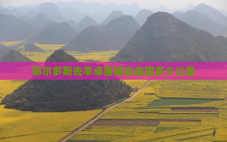 鄂尔多斯去羊卓雍措自由团多少公里