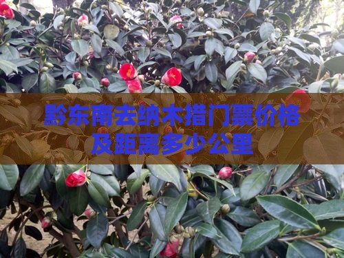 黔东南去纳木措门票价格及距离多少公里