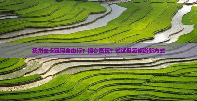 抚州去卡定沟自由行？担心高反？试试低氧旅游新方式