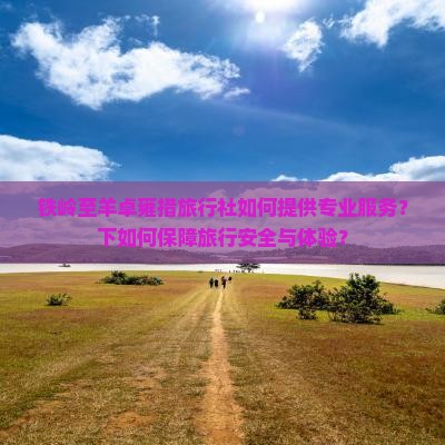 铁岭至羊卓雍措旅行社如何提供专业服务？下如何保障旅行安全与体验？