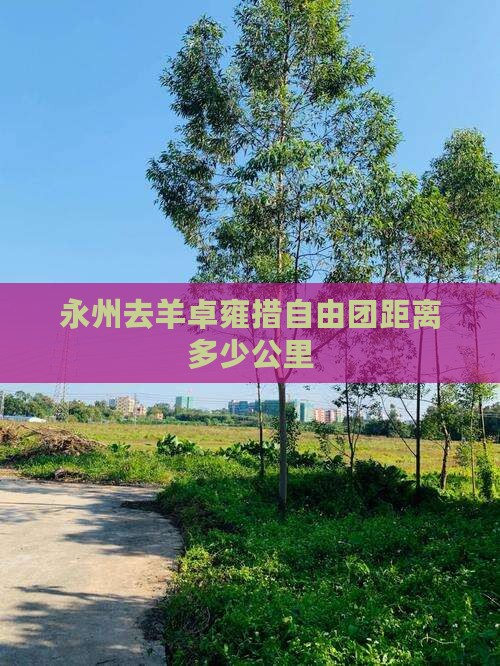 永州去羊卓雍措自由团距离多少公里 永州去羊卓雍措自由团距离多少公里