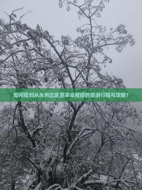 如何规划从永州出发至羊卓雍措的旅游行程与攻略？