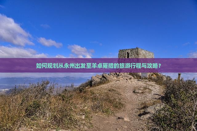 如何规划从永州出发至羊卓雍措的旅游行程与攻略？