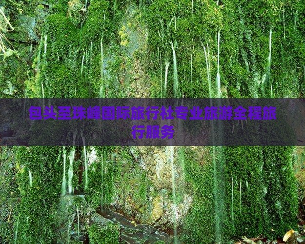 包头至珠峰国际旅行社专业旅游全程旅行服务