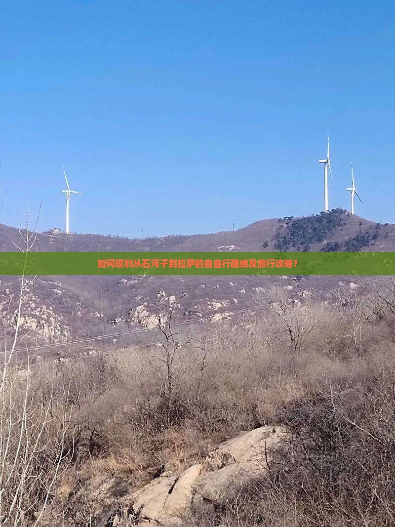 如何规划从石河子到拉萨的自由行路线及旅行攻略？