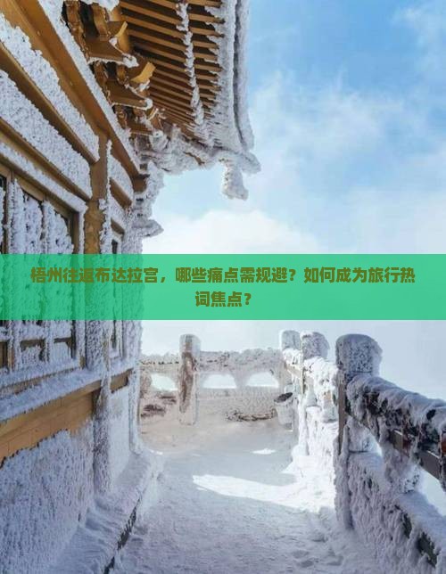 梧州往返布达拉宫，哪些痛点需规避？如何成为旅行热词焦点？