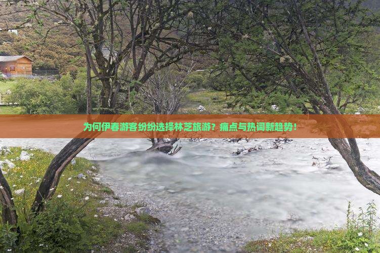 为何伊春游客纷纷选择林芝旅游？痛点与热词新趋势！