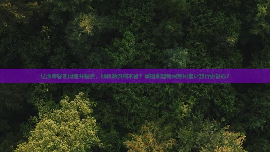 辽源游客如何避开痛点，顺利畅游纳木措？掌握哪些新词热词能让旅行更舒心？