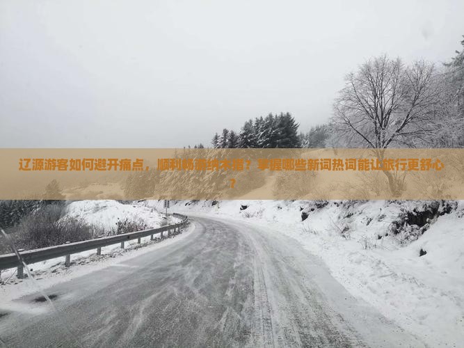 辽源游客如何避开痛点，顺利畅游纳木措？掌握哪些新词热词能让旅行更舒心？