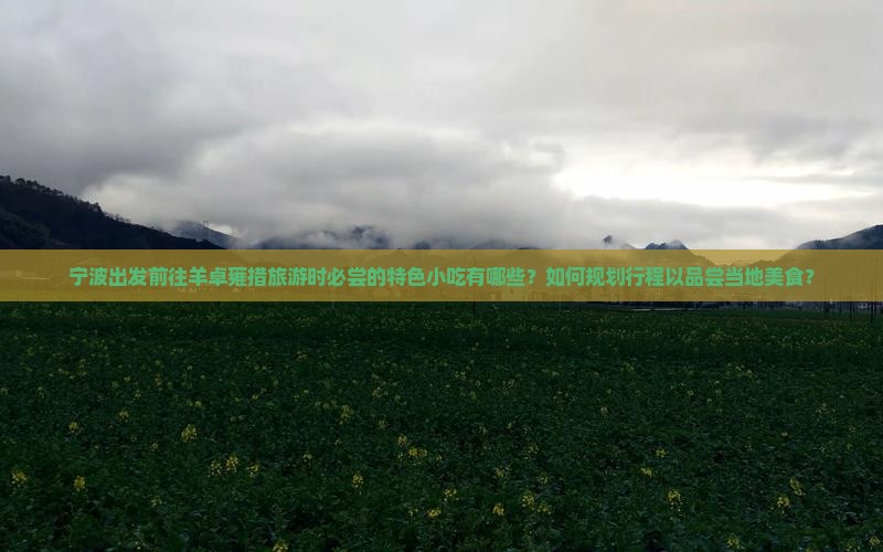 宁波出发前往羊卓雍措旅游时必尝的特色小吃有哪些？如何规划行程以品尝当地美食？