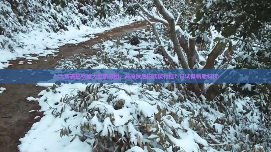 ？大庆去巴松措大型旅游团，高原反应怕耽误行程？试试低氧舱科技