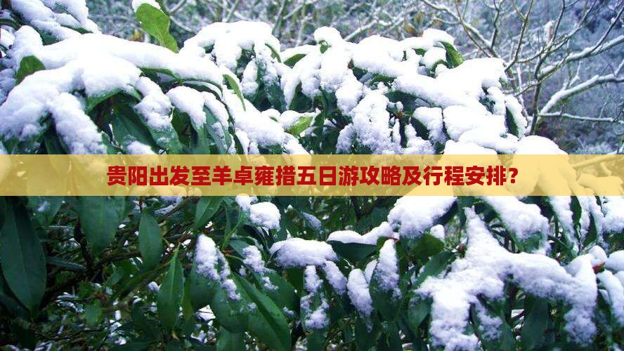 贵阳出发至羊卓雍措五日游攻略及行程安排？