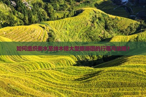 如何组织衡水至纳木措大型旅游团的行程与攻略？