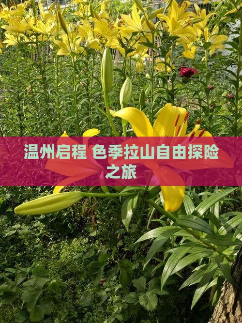 温州启程 色季拉山自由探险之旅