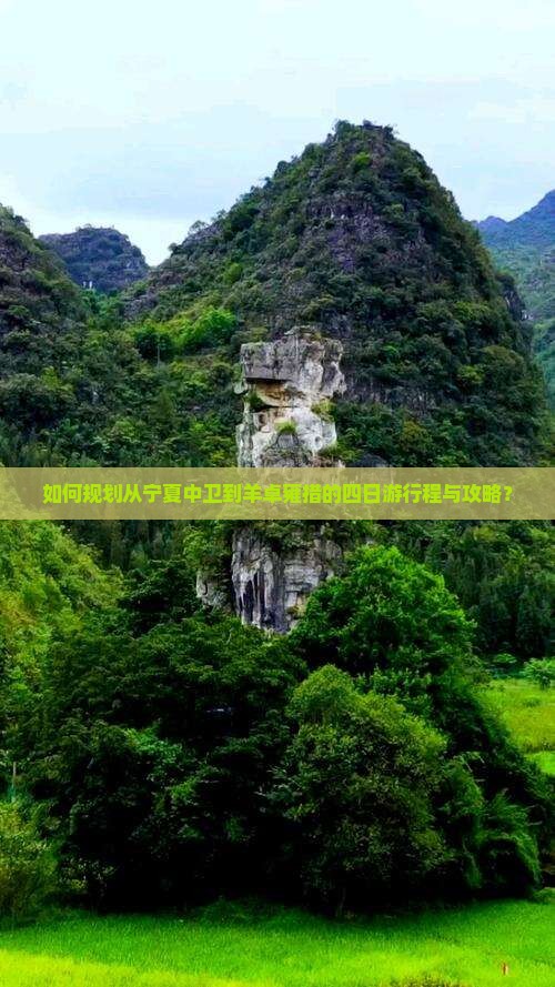 如何规划从宁夏中卫到羊卓雍措的四日游行程与攻略？