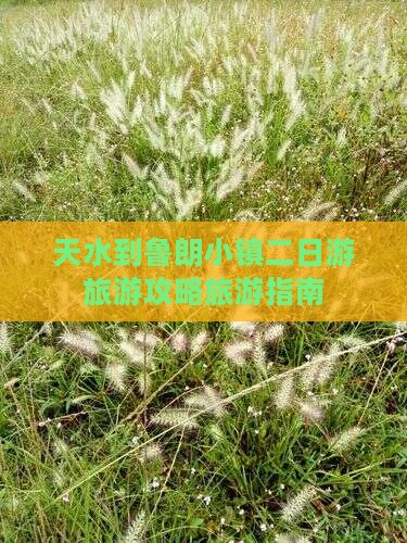天水到鲁朗小镇二日游旅游攻略旅游指南