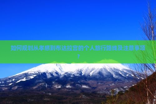 如何规划从孝感到布达拉宫的个人旅行路线及注意事项？
