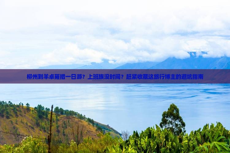 柳州到羊卓雍措一日游？上班族没时间？赶紧收藏这旅行博主的避坑指南