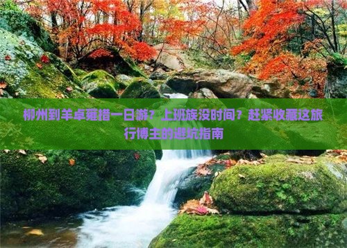 柳州到羊卓雍措一日游？上班族没时间？赶紧收藏这旅行博主的避坑指南