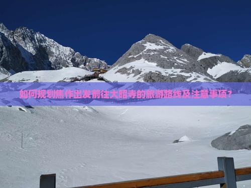 如何规划焦作出发前往大昭寺的旅游路线及注意事项？