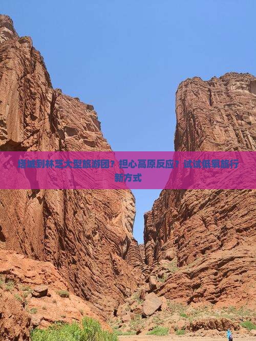 塔城到林芝大型旅游团?担心高原反应?试试低氧旅行新方式 塔城到林芝大型旅游团?担心高原反应?试试低氧旅行新方式