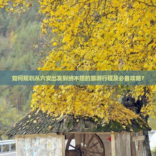 如何规划从六安出发到纳木措的旅游行程及必备攻略？