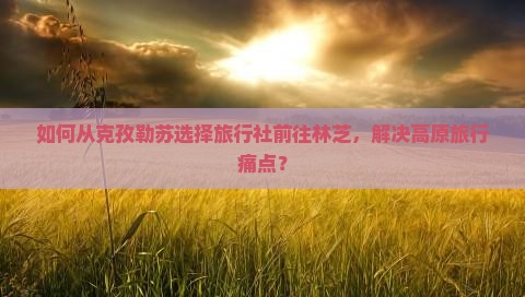 如何从克孜勒苏选择旅行社前往林芝，解决高原旅行痛点？
