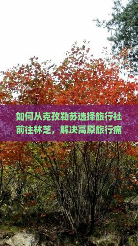 如何从克孜勒苏选择旅行社前往林芝，解决高原旅行痛点？