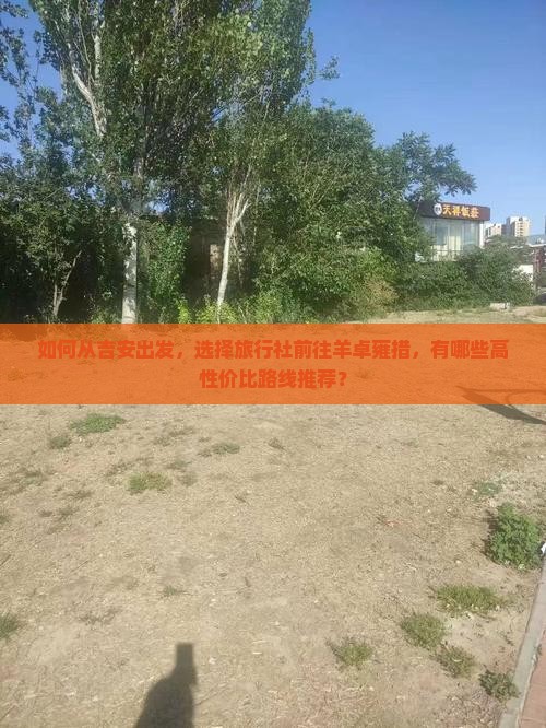 如何从吉安出发，选择旅行社前往羊卓雍措，有哪些高性价比路线推荐？