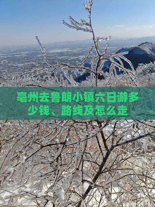亳州去鲁朗小镇六日游多少钱、路线及怎么走