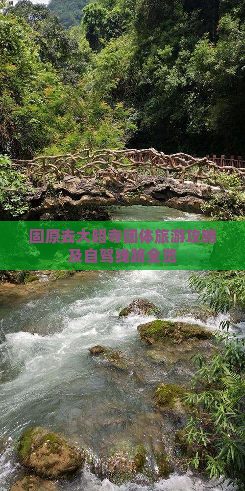 固原去大昭寺团体旅游攻略及自驾线路全览