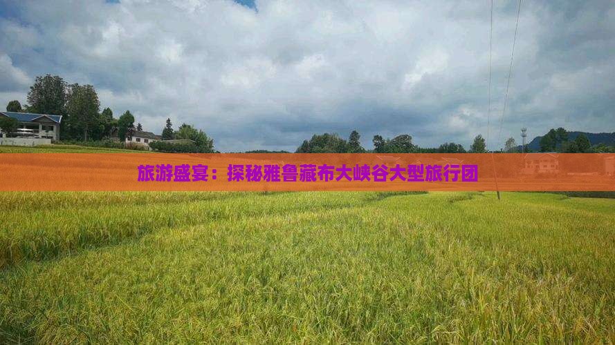 旅游盛宴：探秘雅鲁藏布大峡谷大型旅行团